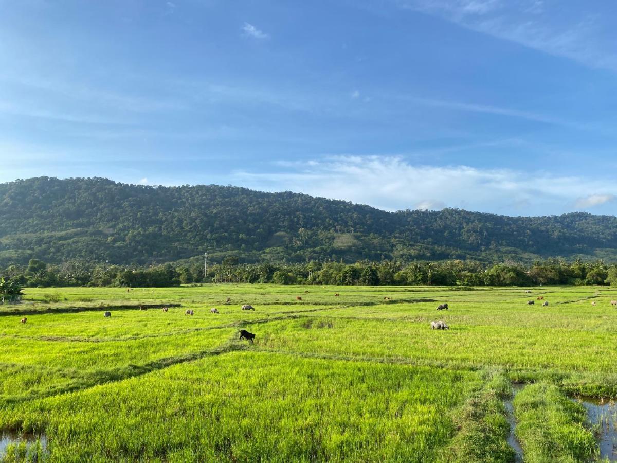 Lamanleman Langkawi Pantai Cenang  Exterior foto